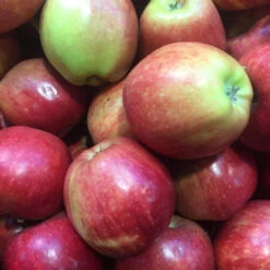Royal Gala Apples ($5.99 P/kg)