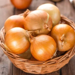 Brown Onion Local
