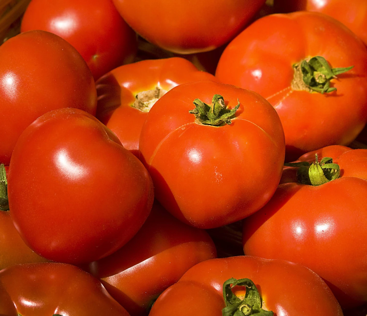 Tomatoes (Murray Bridge) ($11.99 P/kg) - Image 2