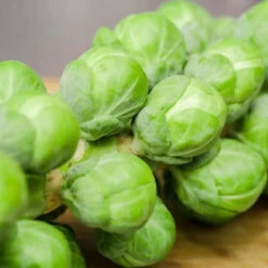Brussels Sprout Pkt 250g Locally Grown And Packed