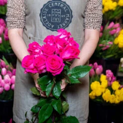 Hot Pink Roses (long Stem)