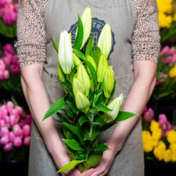 Oriental Lillies (white)