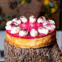 Raspberry Curd Cheesecake