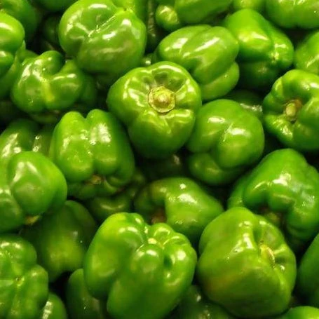 Green Capsicums ($9.99 P/kg)