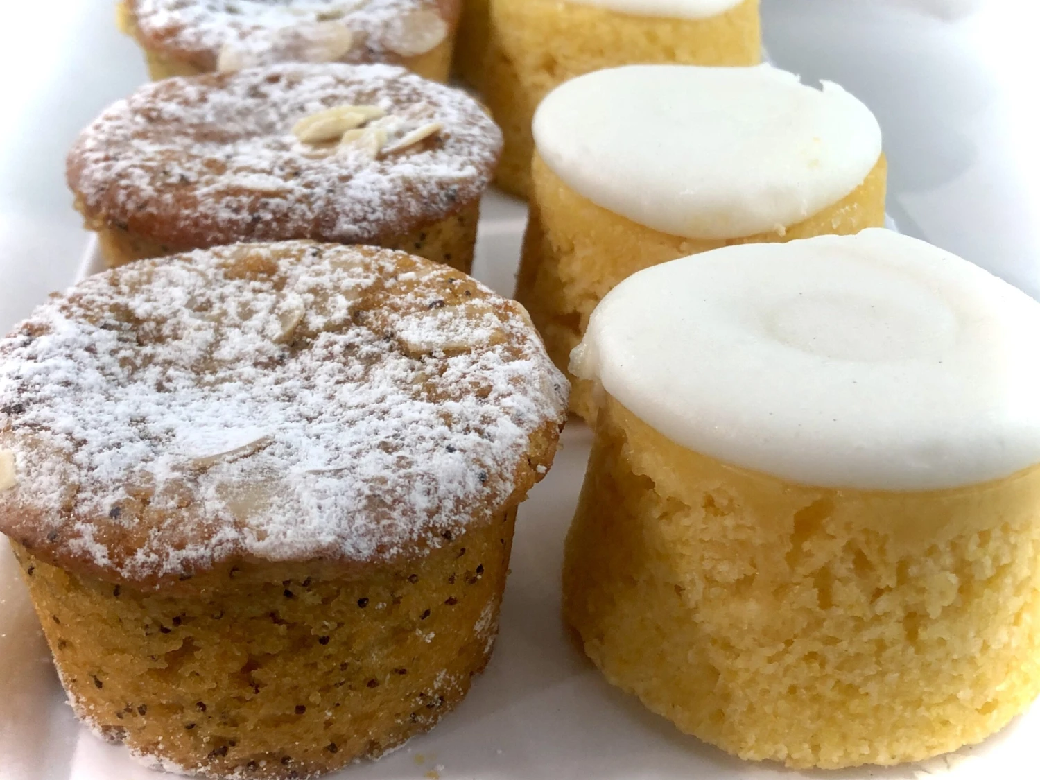 Lemon Polenta Or Orange And Poppyseed Cakes- Gluten Free