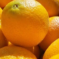 Oranges ($9.99 P/kg)