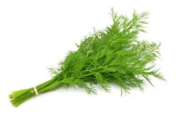 Dill ($4.00 Per Bunch)