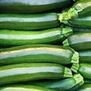 Premium Zucchini