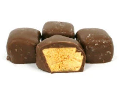 Chocolate Coated Honeycomb