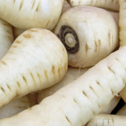 Parsnips(3.50p/bag/350gm)