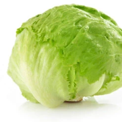 Iceberg Lettuce