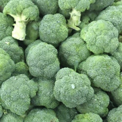 Premium Mason Brocoli