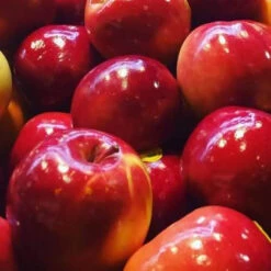 Fuji Apples ($6.99 P/kg)