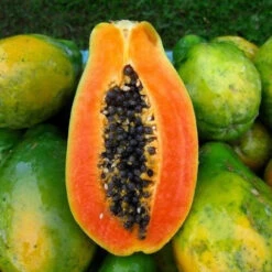 Sweet Red Paw Paw ($6.00/kg)