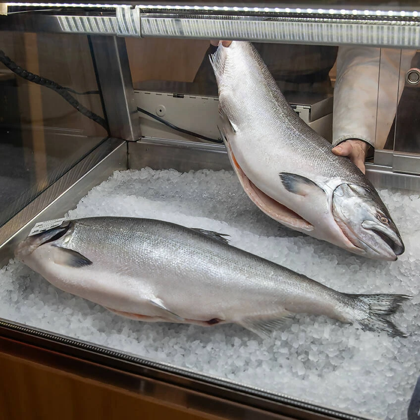 ORA King Salmon - NZ - Fresh Fillet - (180gr - 200gr) - SASHIMI GRADE - Image 2