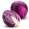 Red Cabbage