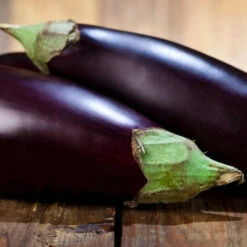 Egg Plant Premium