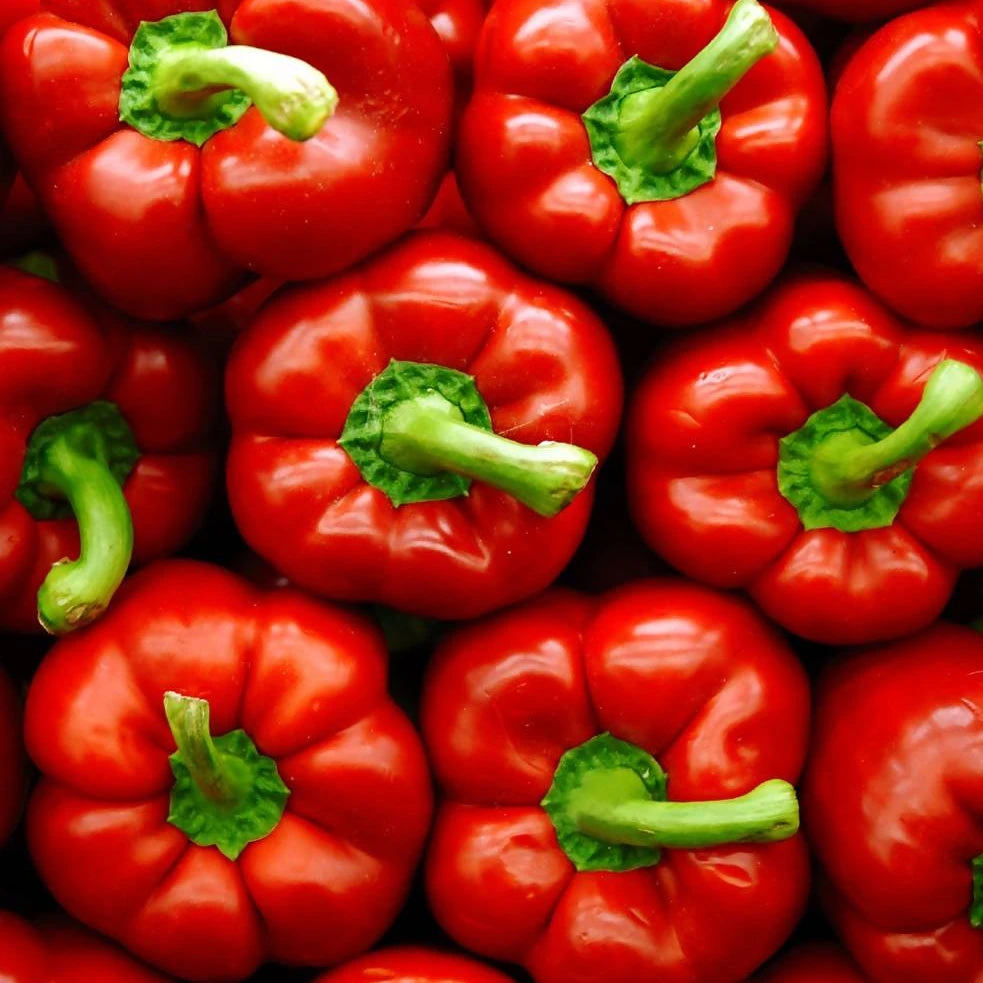 Red Capsicums ($14.99 P/kg)