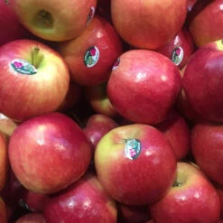 Pink Lady Apples ($6.99 P/kg)
