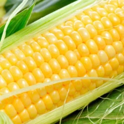 Sweet Corn (3 For $5.00)