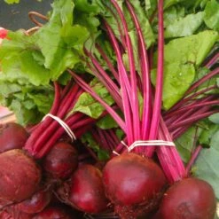 Beetroot ($4 Per Bunch)